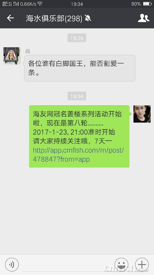 205011ncoll0lmog6ill4s.png