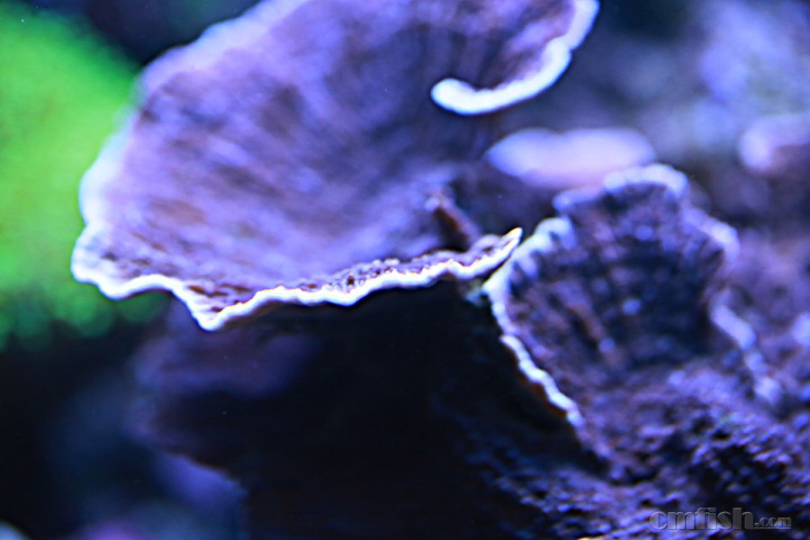 M85A3343 ����.jpg