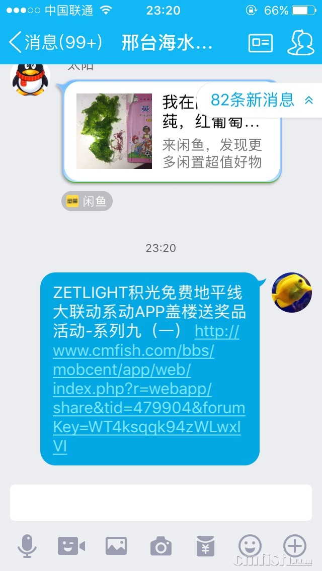 115651laqr8q22wqrwlg1u.jpg
