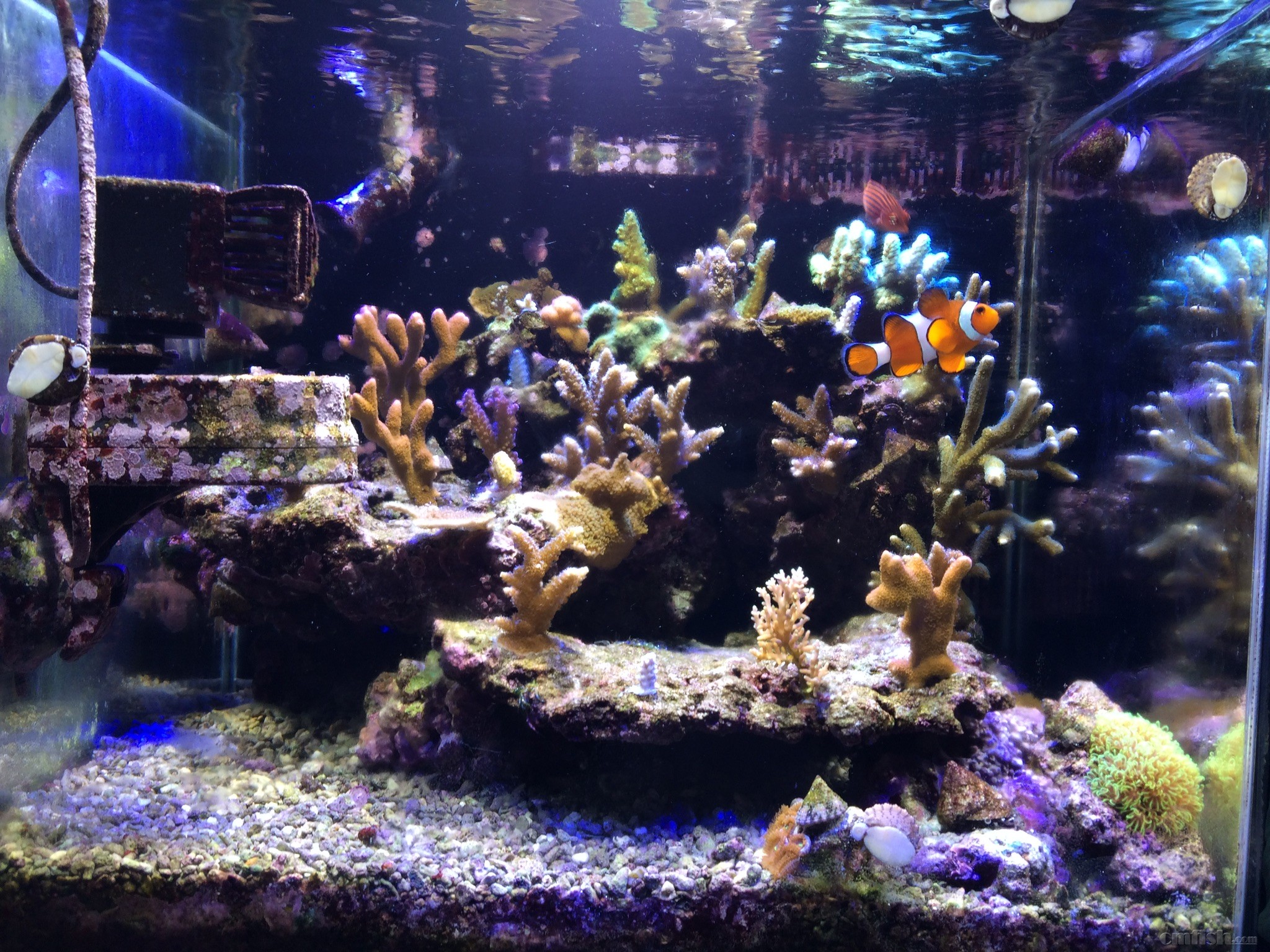 ��Ŷ������º�