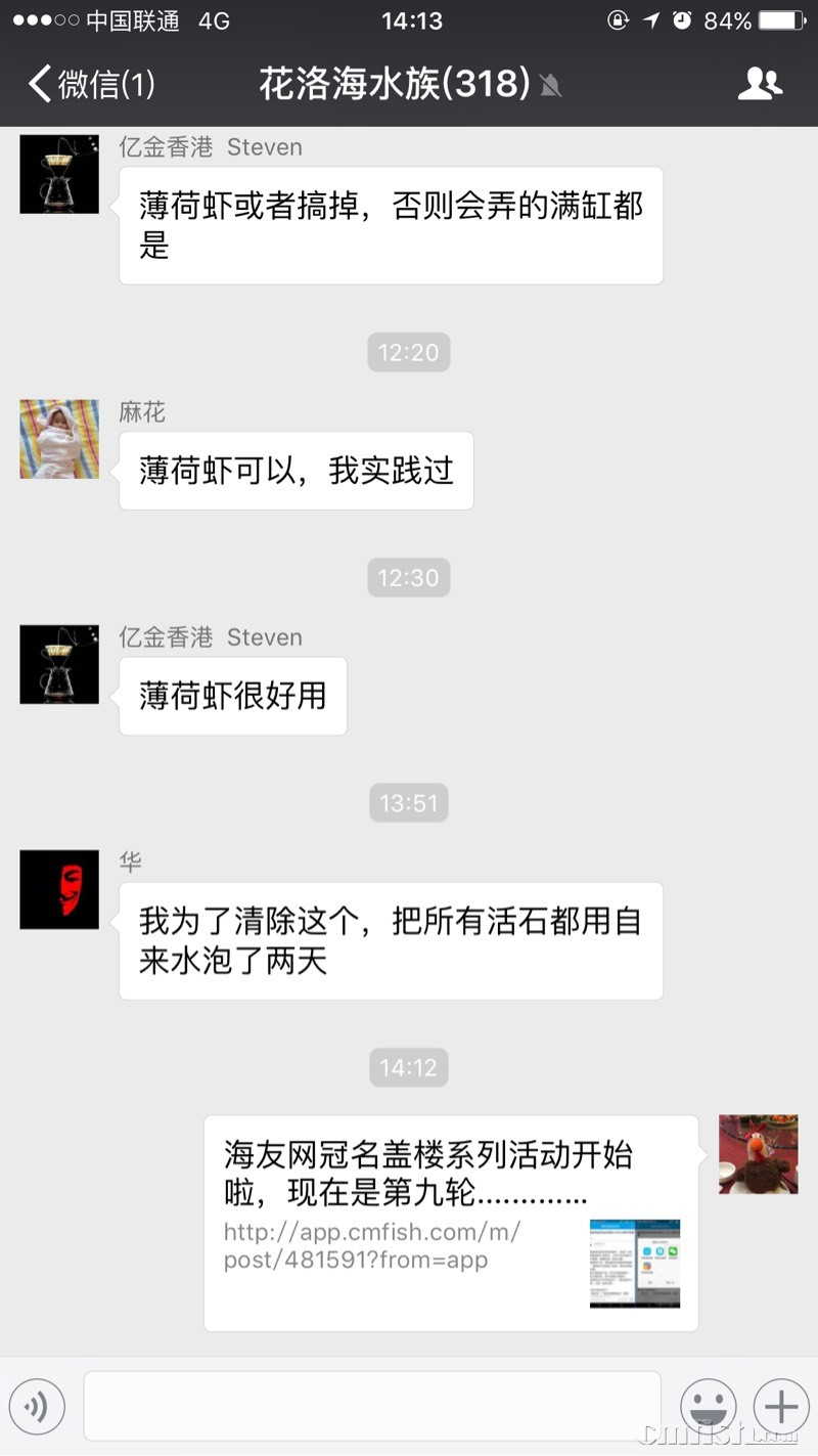 141246kjcvrmfcmjbcj593.jpg