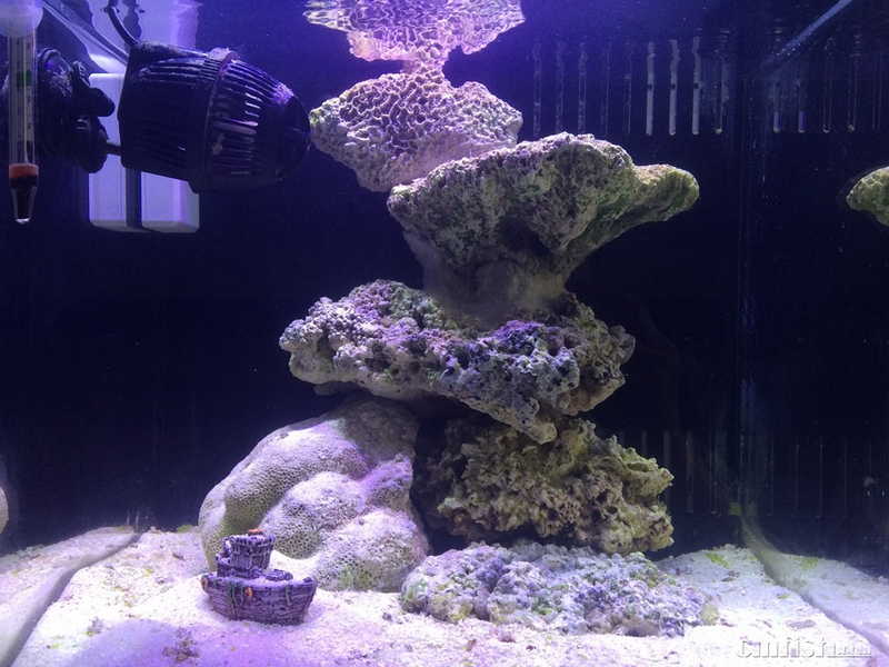 2016-04-08 170740_����.jpg