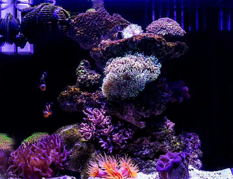 2016-04-24 222754_S.jpg