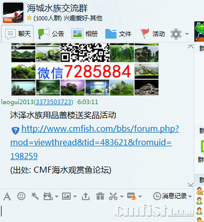 QQ��ͼ20170221060425.png