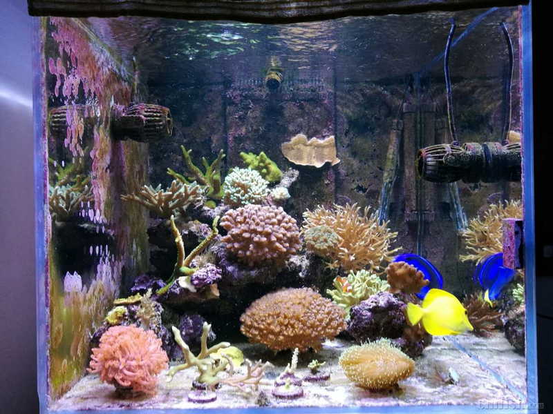 new image - llpzm.jpg