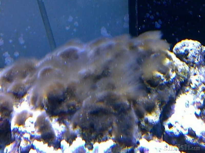 QQ��ͼ20170118035219.jpg