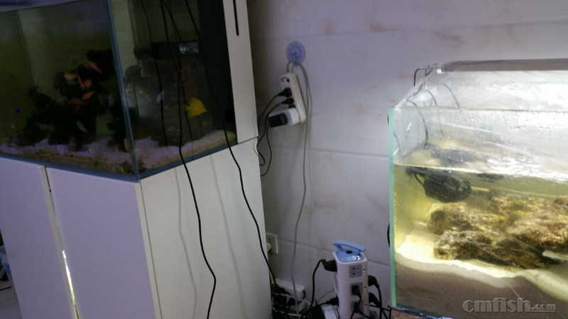 QQ图片20170313140126.jpg