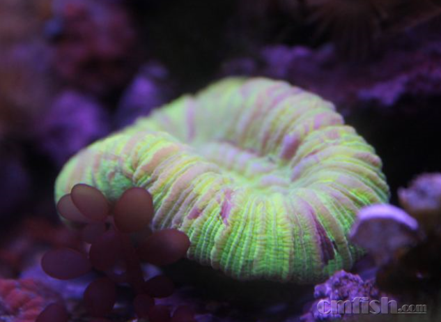΢�Ž�ͼ_20170215183026.png