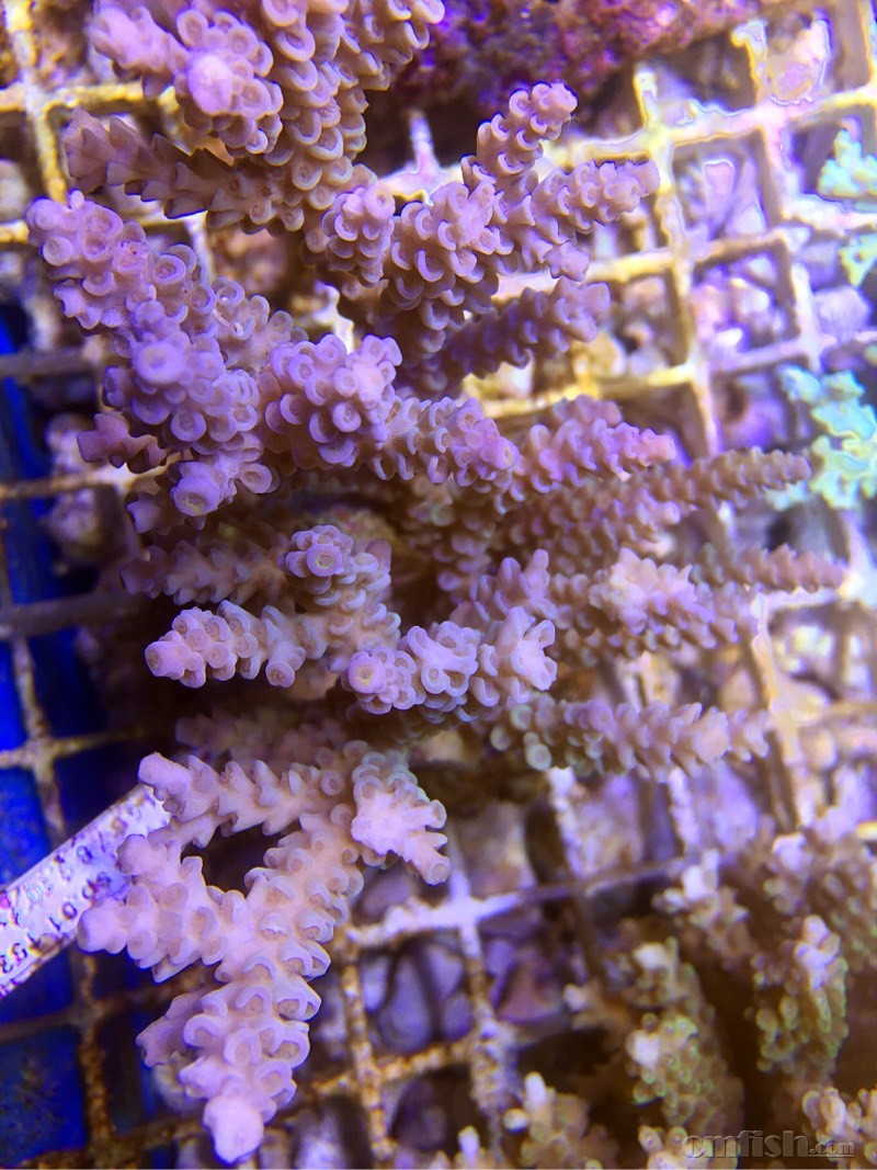 西安出售各类硬骨