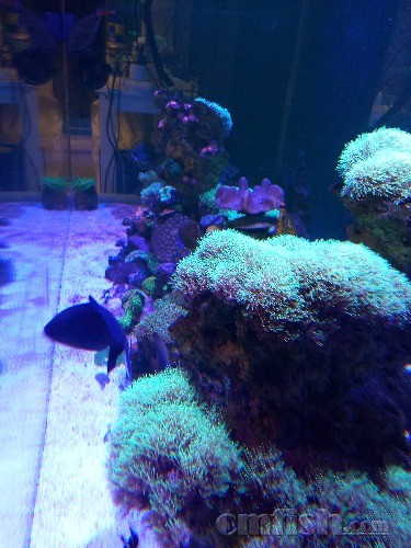 IMG20170409204651.jpg