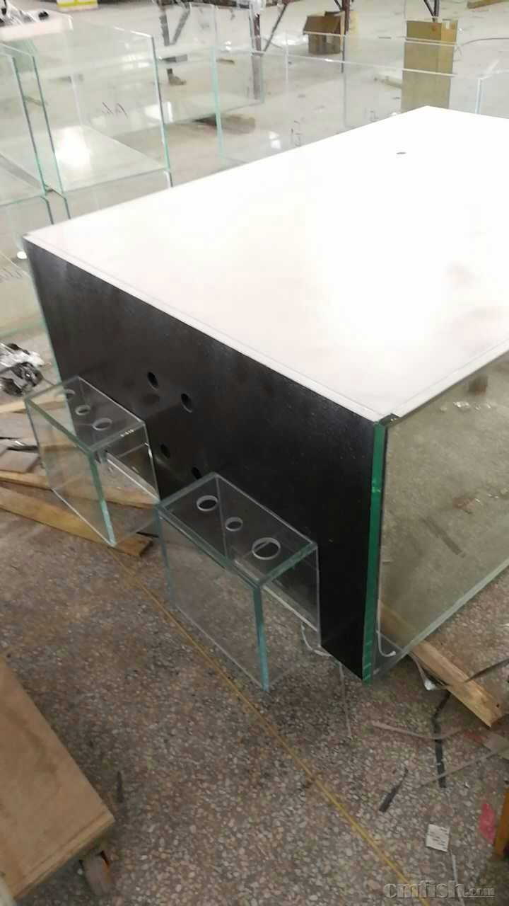 �����ڳ���ڳ��