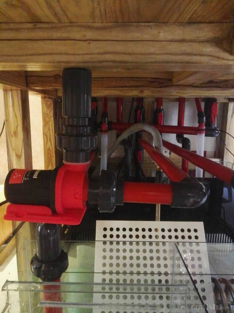 ��ѭ����