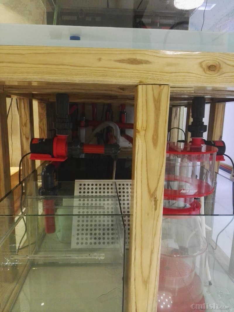 ��ѭ����