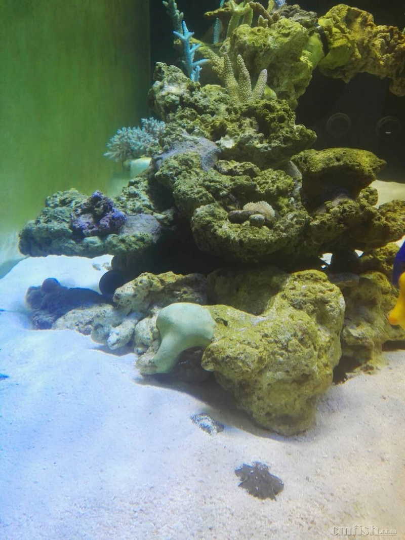 ��ѭ����ˮ��