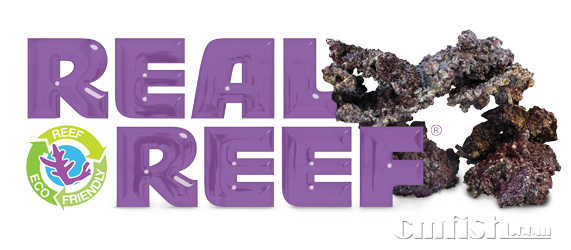 Real reef rock logo.png