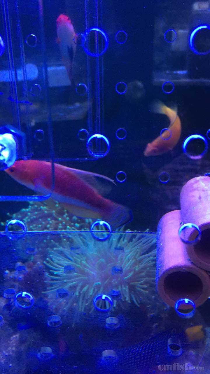 ΢��ͼƬ_20170508203605.jpg