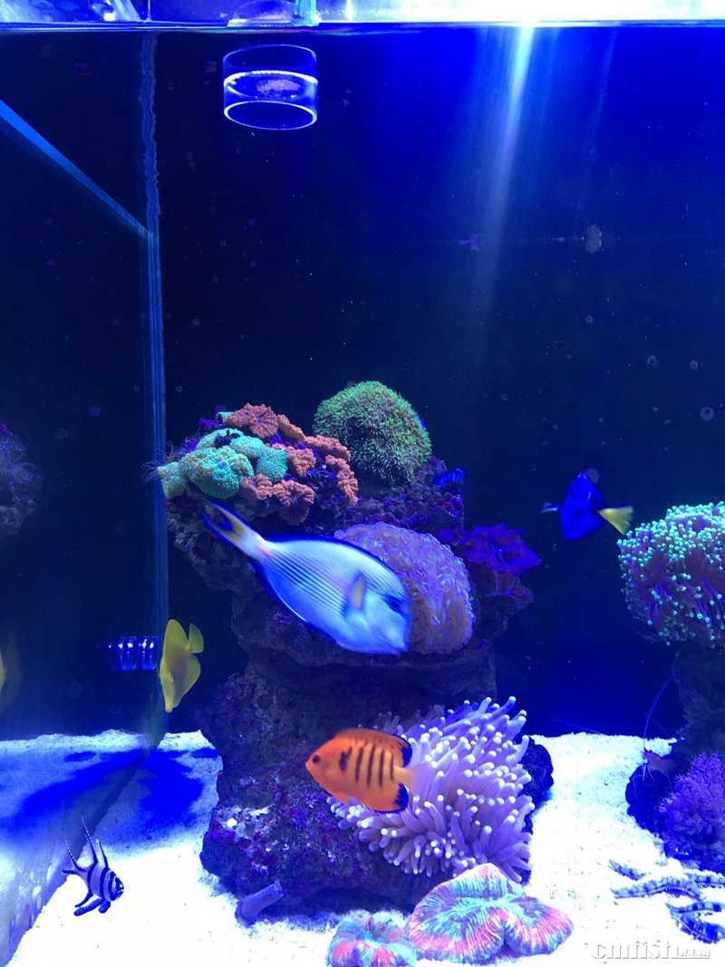 ΢��ͼƬ_20170511085427.jpg