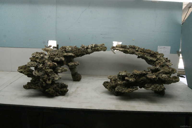 【优境造景】180缸 巨型 多层 sps 双岛盘旋造景