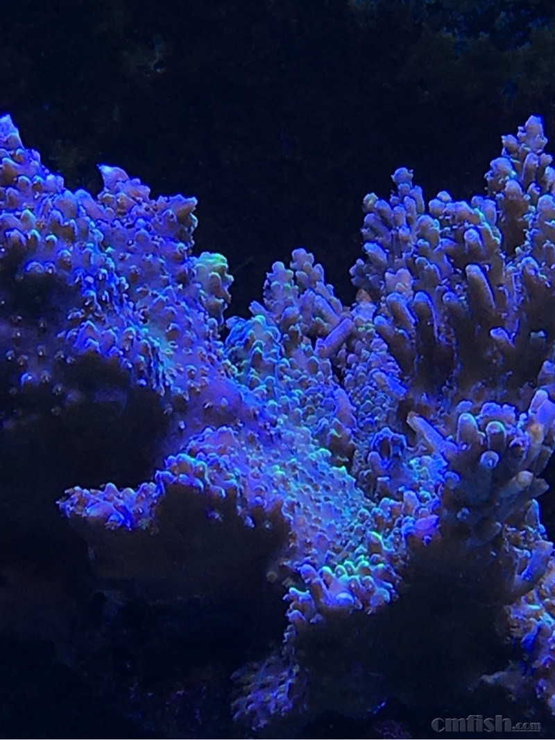 213218hue96leg4vb8sggv.jpg
