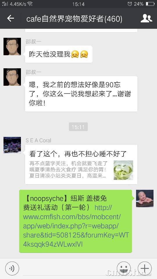 152904gd2tc9x3jjstd9jz.png