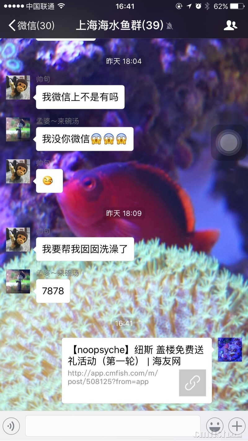 164328kuck2t1muyymc8my.jpg