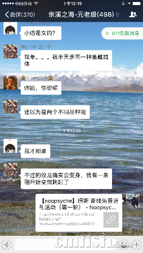 IMG_7231.PNG