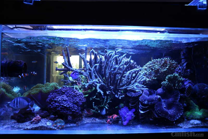 成都100x80x45sps缸交作业