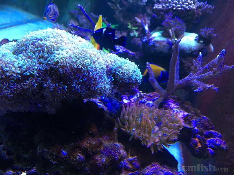 204811tqeuuq6sifppffc1.jpg