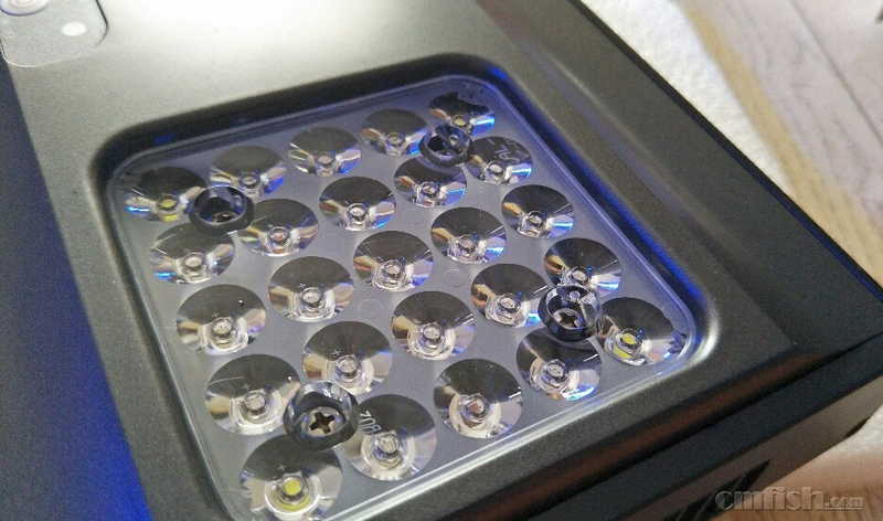 ��������Ϊ���ڵ�����������