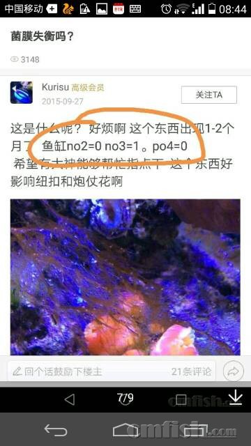 171358u41m14hcczazbll1.jpeg