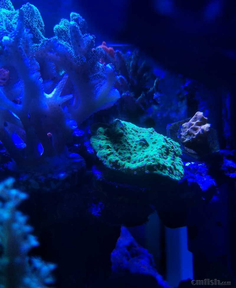 �컨������ɫ��������