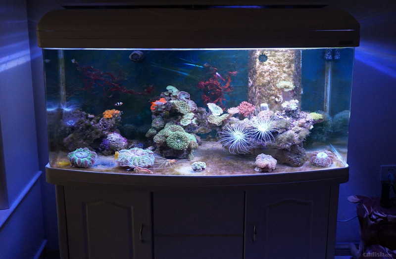 DSC01263 ����.jpg