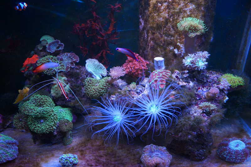 DSC01279 ����.jpg