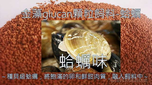 PH84_F_148_170707125236.JPG