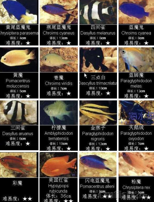 image005.png