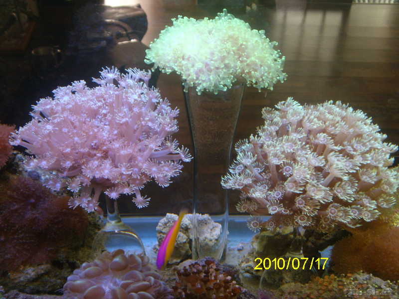 image005.jpg