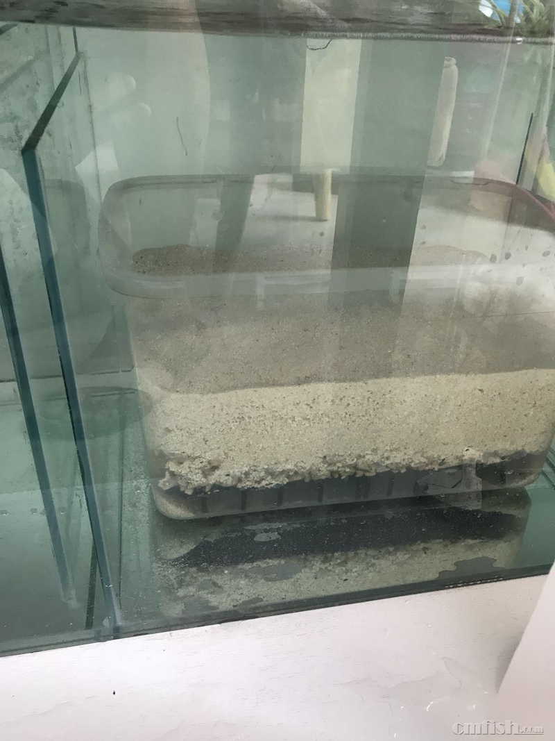 ��ɳ��