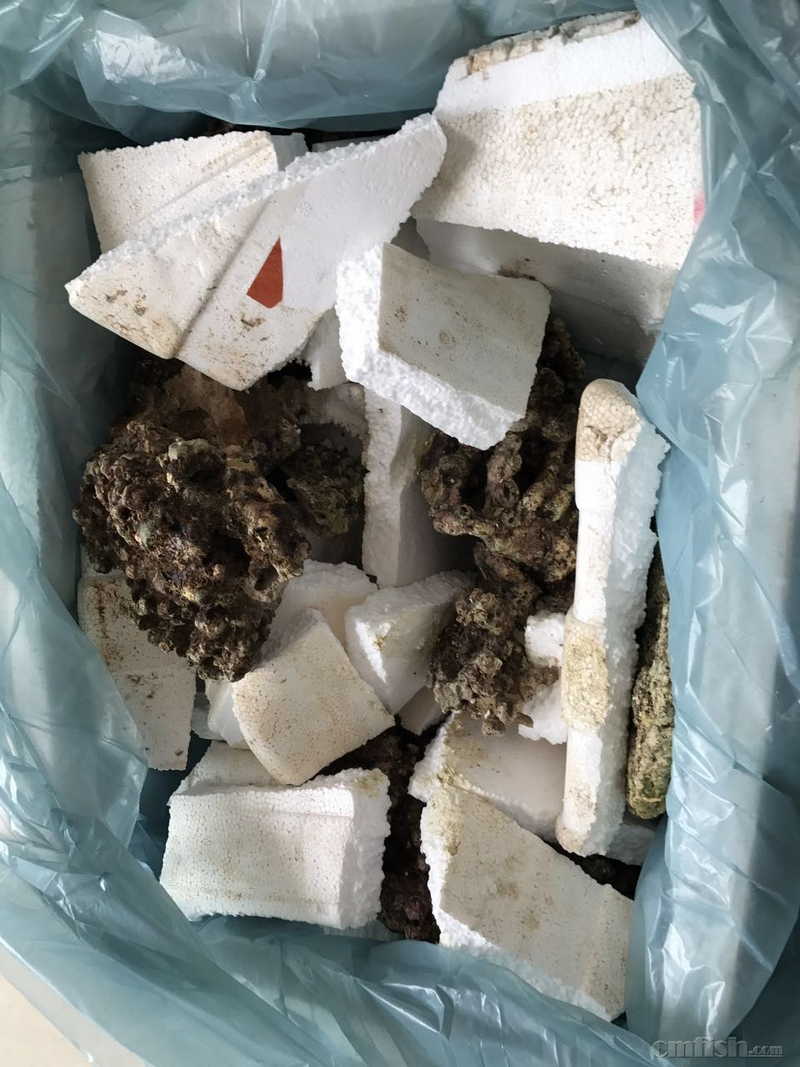 ���ʯ