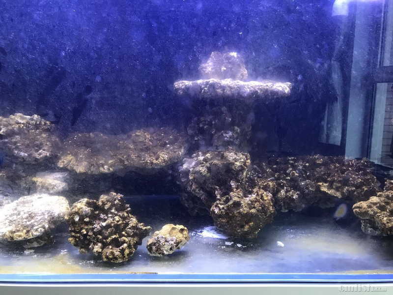 6��.jpg