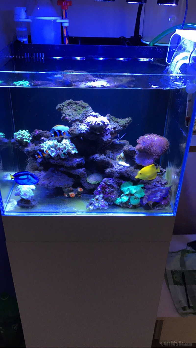 出售红海90缸设备 70方背包底滤 50方背滤各一套