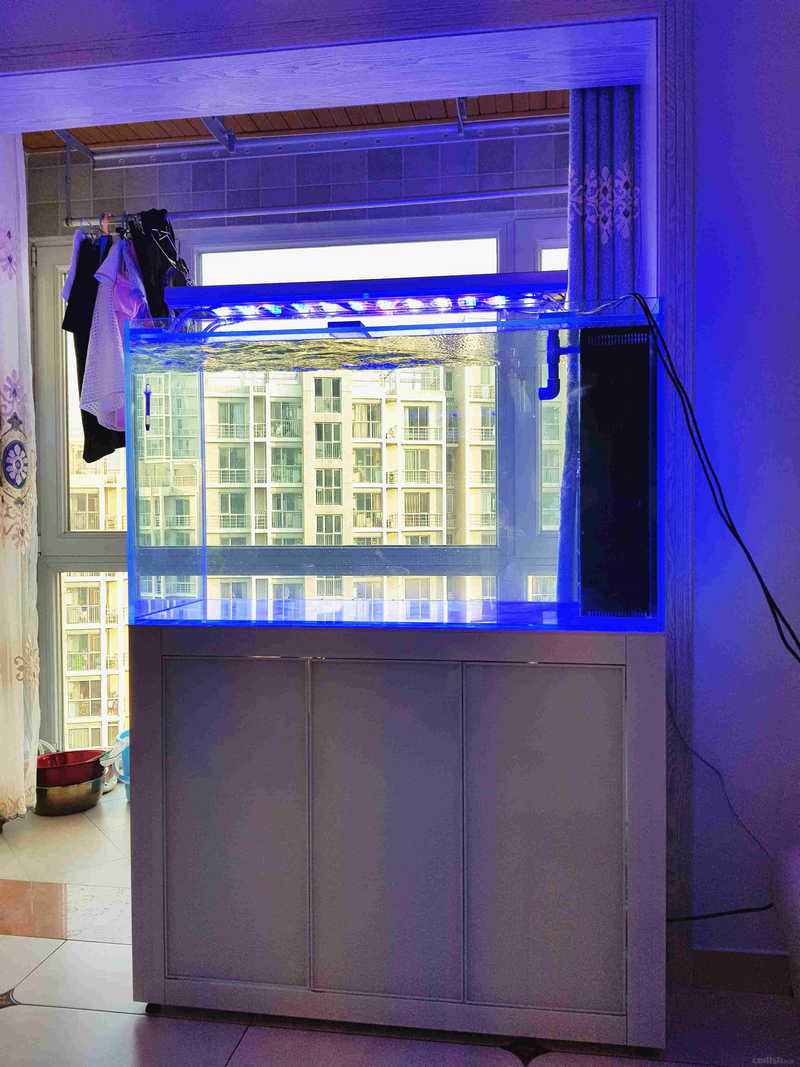 ����Ч��3