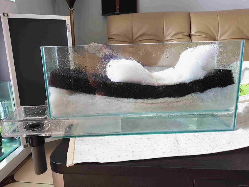 ��ʪ����У����ϸ�������������