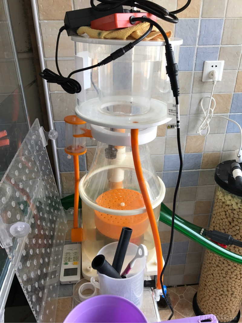 出个sc220红海星蛋分