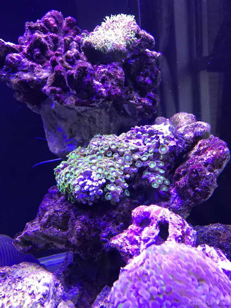 ΢��ͼƬ_20170814182726.jpg