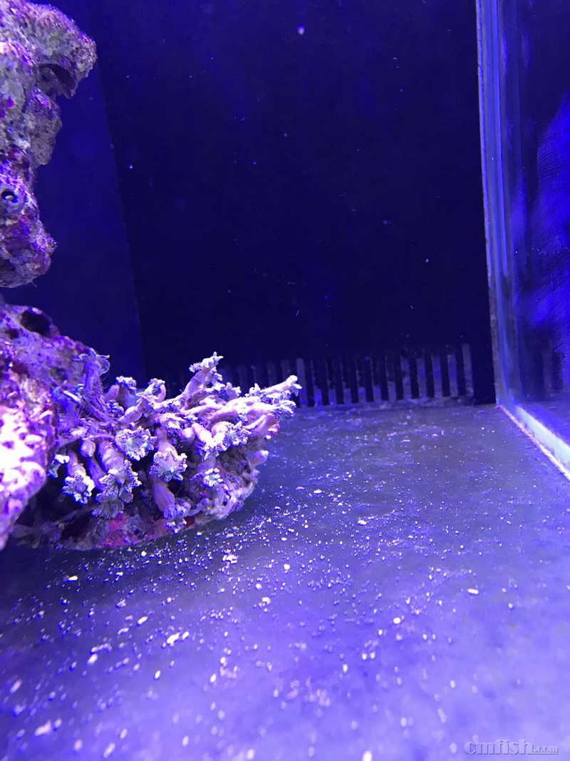 ΢��ͼƬ_20170814182729.jpg