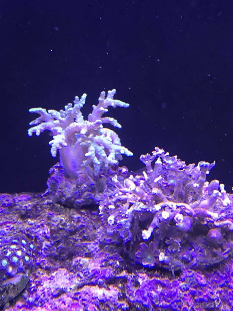 ΢��ͼƬ_20170817120212.jpg
