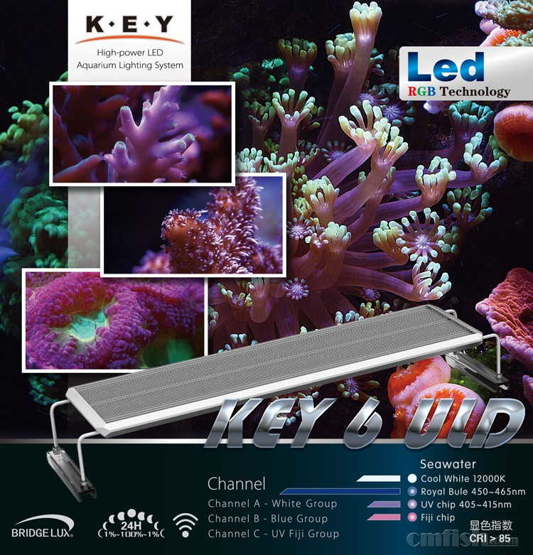 KEY6-ULD-��������-01.jpg