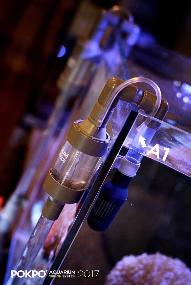 pokpo经典安装实例【3】-水体的再扩展 - 跟pokpo一起玩虹吸!