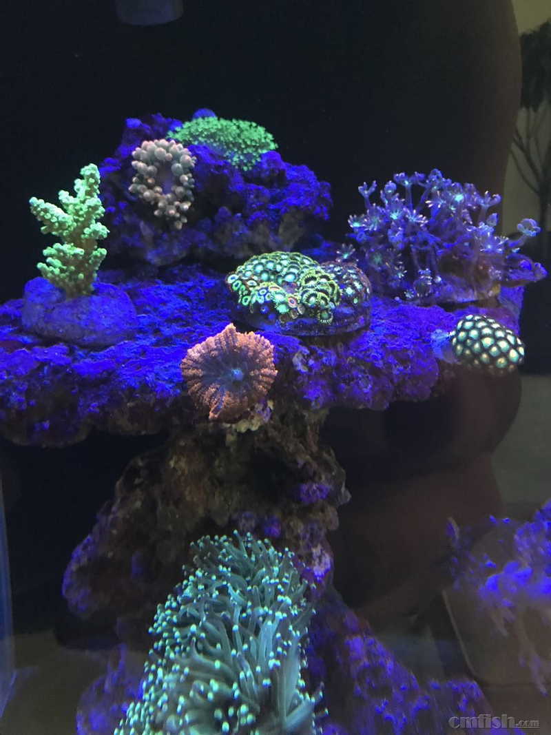 ΢��ͼƬ_20170824194040.jpg