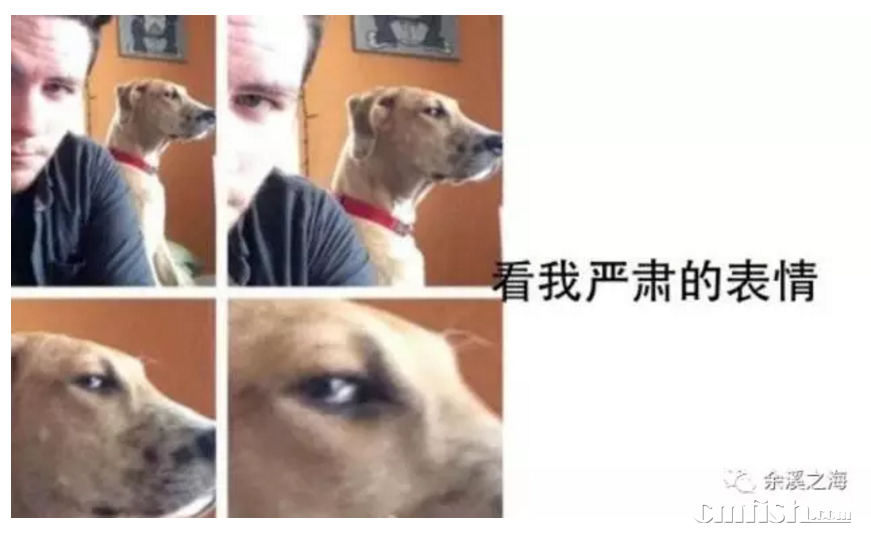 02.png